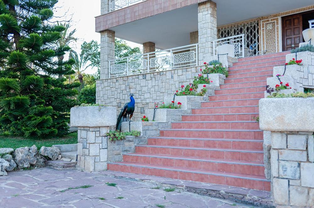 Villa Entrenaranjos Picassent Ngoại thất bức ảnh