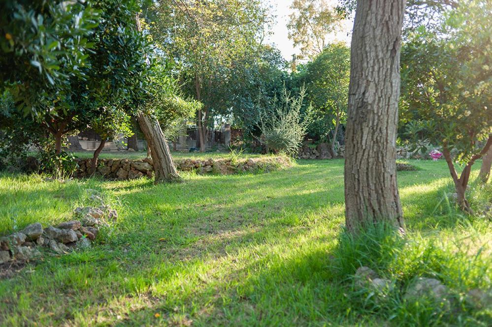 Villa Entrenaranjos Picassent Ngoại thất bức ảnh