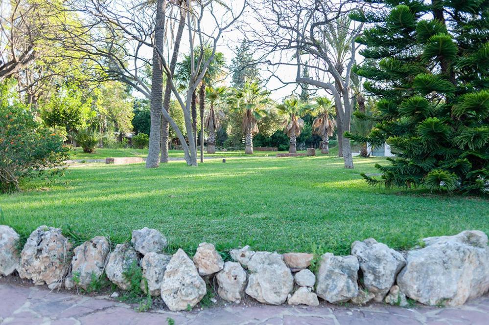 Villa Entrenaranjos Picassent Ngoại thất bức ảnh